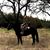 Jackie Bist's profile image