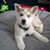 Denise Keirns's profile image
