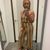 Daphne Stephens's profile image