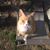 Rob Egge's profile image