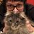 Sofia Zarfas's profile image