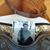 Doralee Sprick's profile image