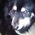 Barb Seitz's profile image