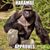 Darren Stanford's profile image
