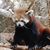Lisa S. Gillstrom's profile image