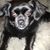 Theresa Wooten's profile image