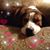 Nancy G. Marion's profile image