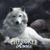 Thomas Phares's profile image