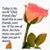 Isobel Phillips's profile image