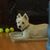 Darla Parrett's profile image