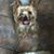Yaritza Rosa's profile image