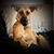 Nancy Hossalla's profile image