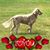 Susan Green's profile image