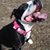 Julie Matuszak Goralski's profile image