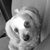 Renee Phillips Lechuga's profile image