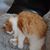 Jasmina Bowerman's profile image