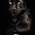 Zack Laubach's profile image