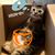 Julie Johnson Dilley's profile image