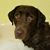 Kelly Ritz Cramatte's profile image