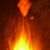 William Serbin's profile image