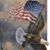 Charles McBride's profile image
