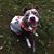 Carol Buterbaugh's profile image