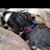 Natalie Cosgrove Burgin's profile image