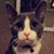 Sadeana Viner's profile image