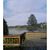 Sharron Wilkins Glowacz's profile image