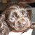 Kim Morgan's profile image