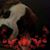 Gayle Phillips's profile image