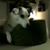 Susan Colley's profile image
