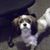 Patricia Gibson's profile image
