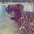 Paul Knott's profile image