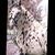 Linda A Yoder's profile image