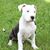 Diane Keough's profile image