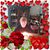 Amy Lawson-Kneisley's profile image