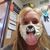 Paula Hallam's profile image