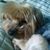 Pam Colegrove's profile image