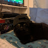 Moyra R.'s profile image