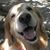 Mary Ellen Gollup's profile image