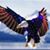 Heather Huffman's profile image