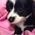 Kristy Ellzey's profile image