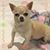 Linda Klepper Archer's profile image