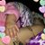 June Simmons Parrish's profile image