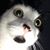 Joey Davis's profile image