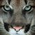 Suzanne McCarty's profile image