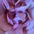 Alexandra Turner's profile image