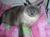Boo29_23 M.'s profile image