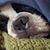 Jackie Hickman Rutherford's profile image